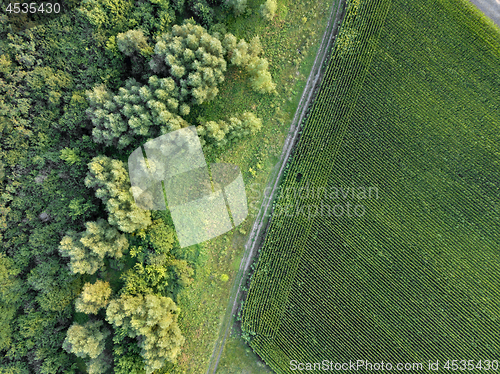 Image of Countryside dirty road along the agricultural field and green forest. Aerial view from dron