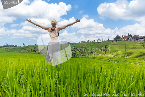 Image of Relaxed healthy sporty woman, arms rised to the sky, enjoying pure nature at beautiful green rice fields on Bali.