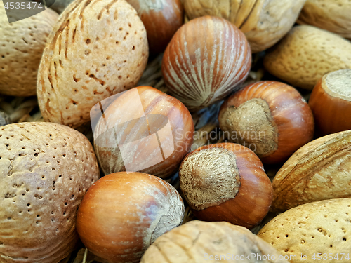 Image of Mix of different types nuts