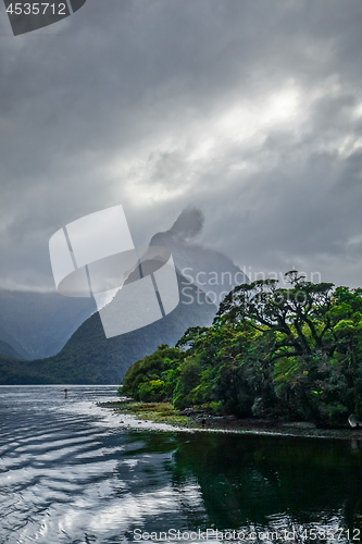 Image of Milford Sound, fiordland national park, New Zealand