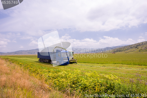 Image of combine machine loading bunker of the truck