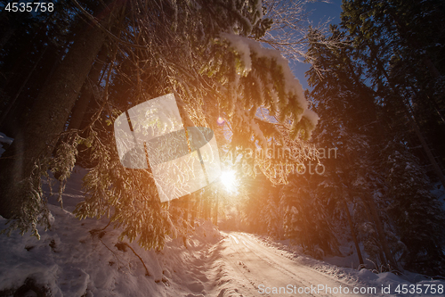 Image of Snowy country road during  sunset or sunrise