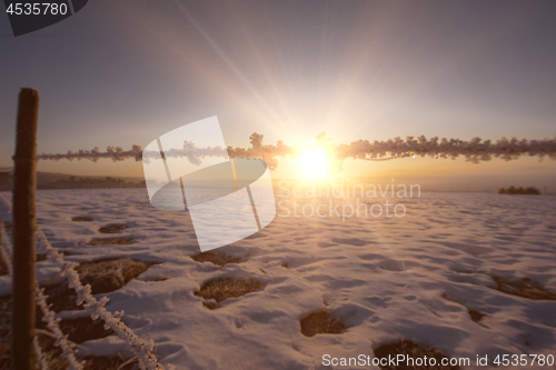 Image of winter landscape during sunset