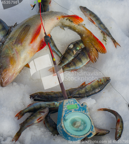 Image of Winter ice fishing