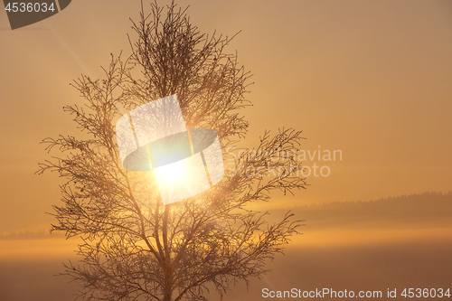 Image of Beautiful winter landscape