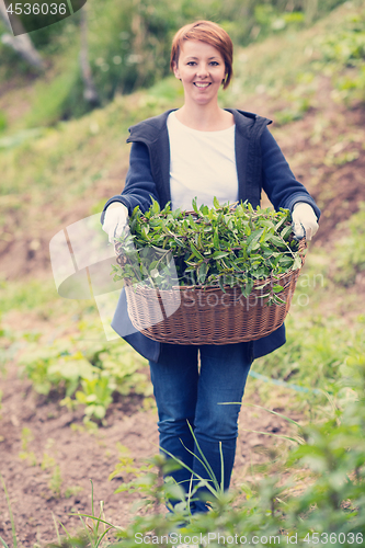 Image of woman gardening