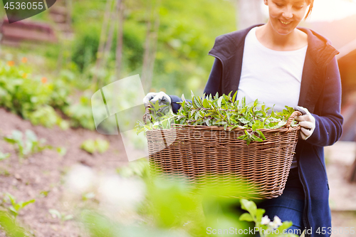 Image of woman gardening