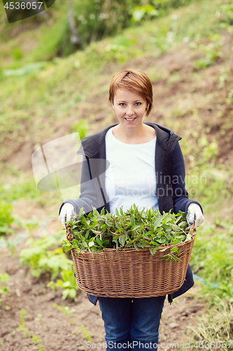 Image of woman gardening