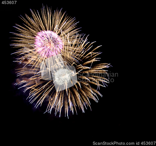 Image of Colourful fireworks bursts