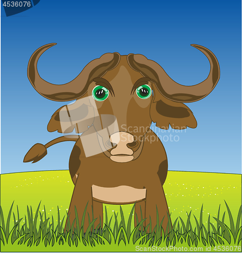 Image of Ungulate animal buffalo on green year glade