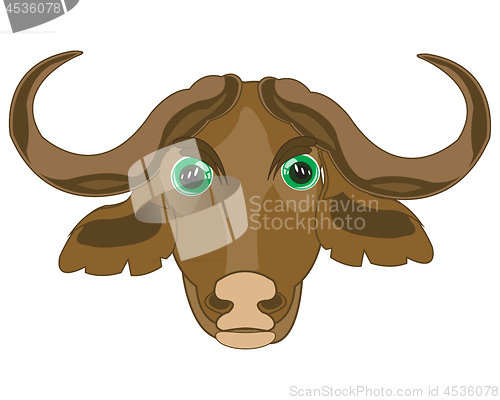 Image of Head animal buffalo on white background is insulated