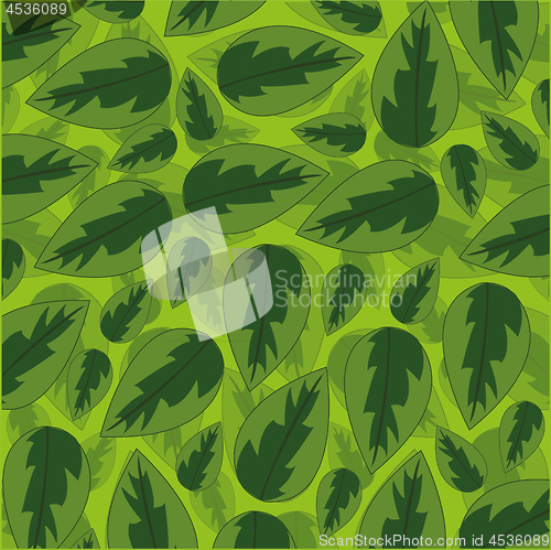 Image of Vector illustration of the decorative pattern from green sheet