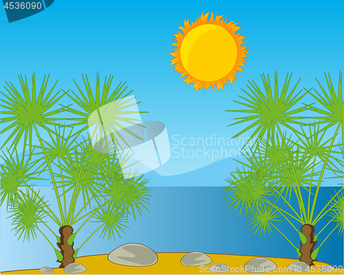 Image of Tropical landscape warm south epidemic deathes and palms