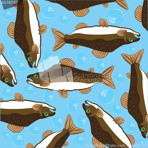 Image of Vector illustration of valuable fish salmon and bubble air