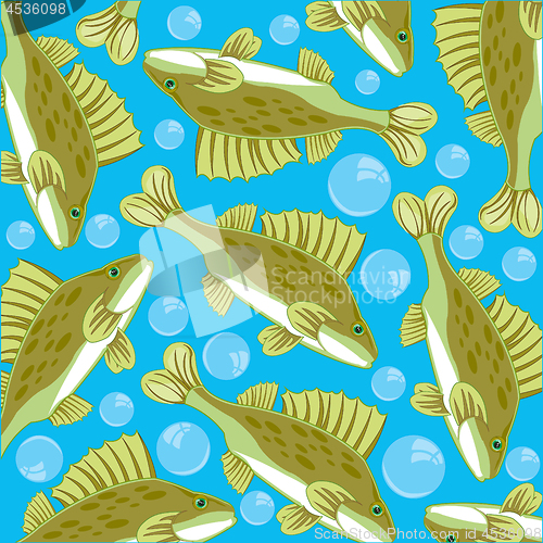 Image of Vector illustration of the decorative pattern of fish ruff