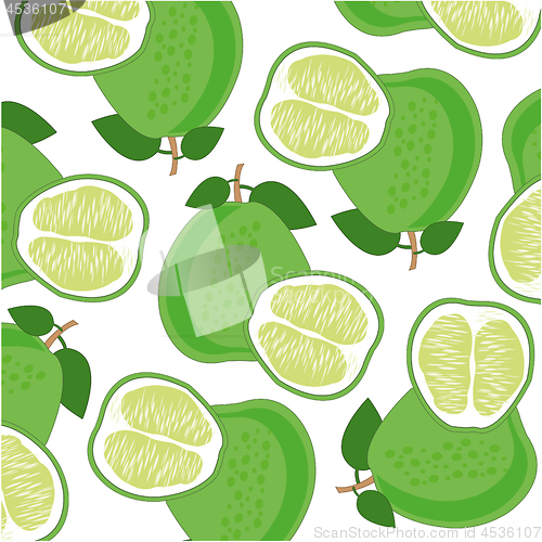 Image of Fruit pomelo pattern on white background is insulated