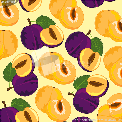Image of Vector illustration of the decorative background from fruit plum