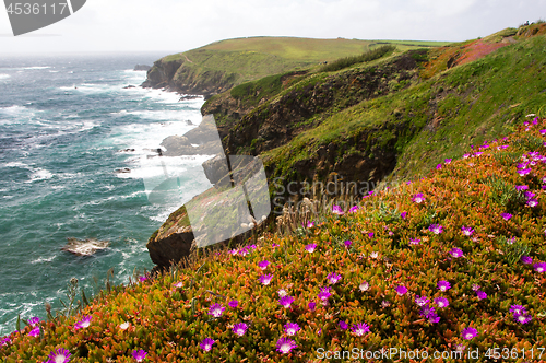 Image of Cornwall, United Kingdom