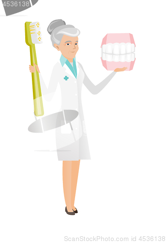 Image of Dentist with dental jaw model and toothbrush.