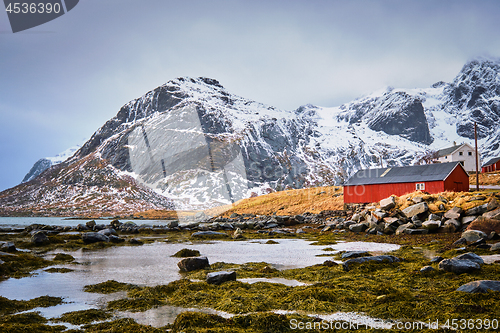 Image of Red rorbu house and fjord in Norway