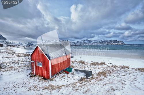 Image of Red rorbu house shed on beach of fjord, Norway