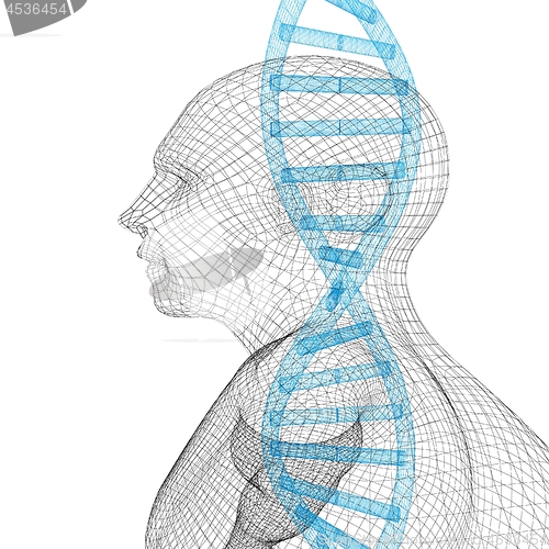 Image of 3D medical background with DNA strands and human. 3d render