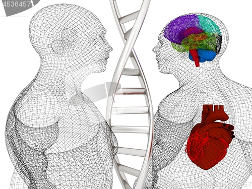 Image of 3D medical background with DNA strands and wire human body model