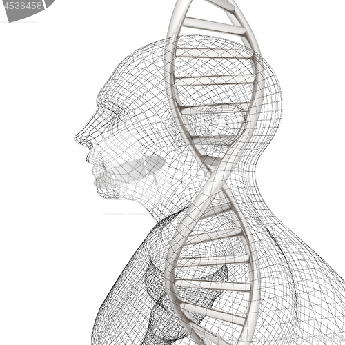 Image of 3D medical background with DNA strands and human. 3d render