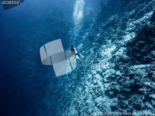 Image of Diver goes deep into the sea