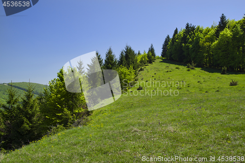 Image of Green hill landscape