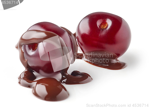 Image of sour cherries covered with melted chocolate