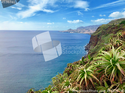 Image of Madeira island, Portugal