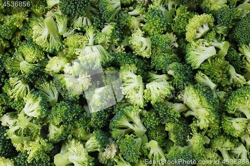 Image of Abstract background of fresh, raw calabrese broccoli florets