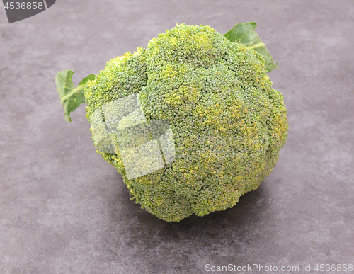 Image of Head of calabrese broccoli starting to perish