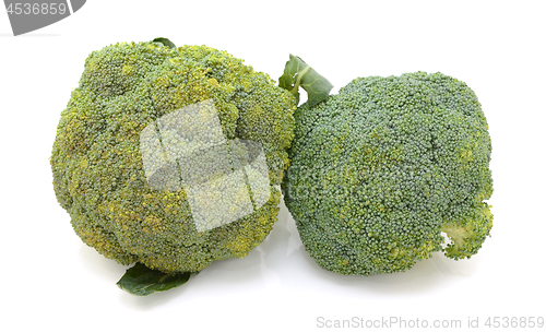 Image of Two heads of calabrese broccoli - spoiling and fresh