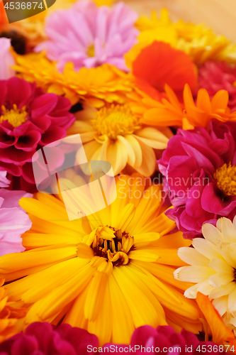 Image of Deep yellow calendula among bright mix of flowers