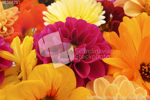 Image of Detail of flower heads floral background