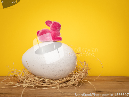 Image of sweet Easter Bunny is sitting on a big egg yellow background