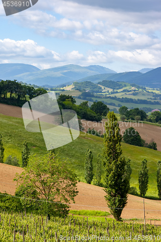 Image of nice view in Italy Marche near Camerino