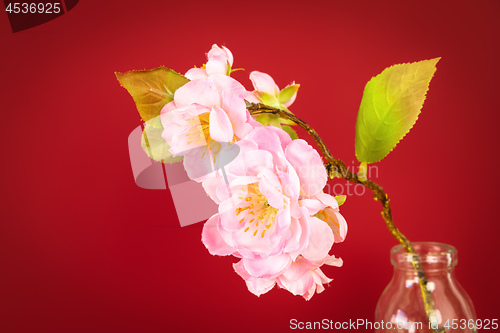 Image of red background with artificial cherry blossoms