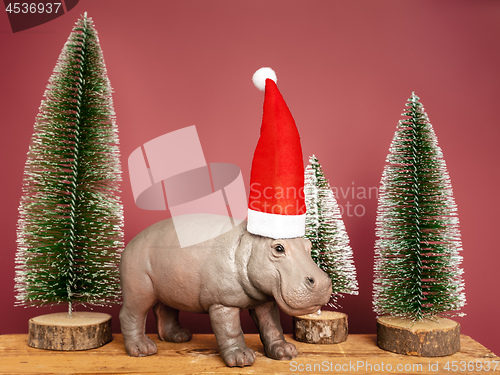 Image of hippopotamus with santa claus hat