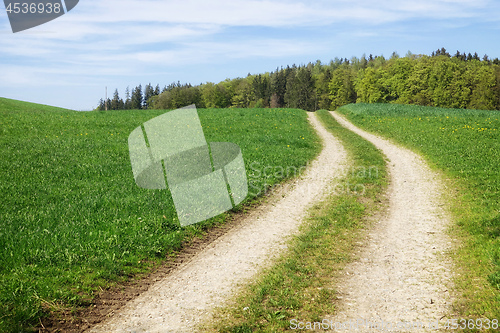 Image of path in a green meadow nature scenery landscape