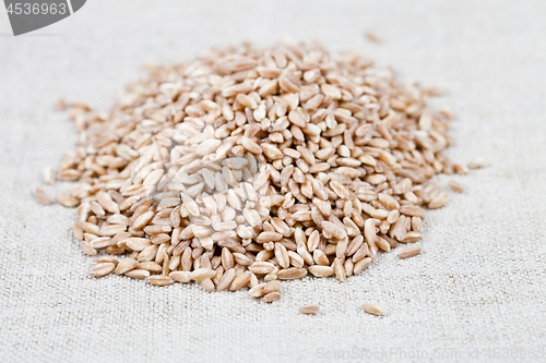 Image of Dry raw organic wheat grain heap on linen tablecloth background.