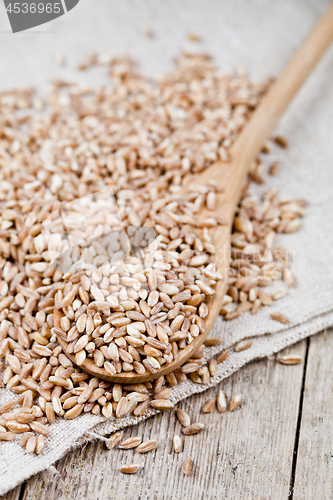 Image of Dry raw organic wheat grain heap in wooden spoon on linen tablec