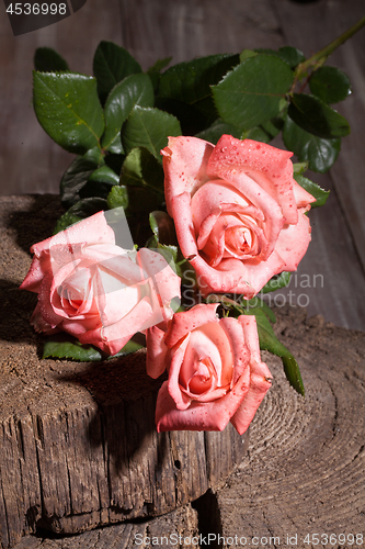 Image of Pink Roses And Old Wood