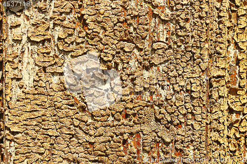 Image of cracked oil paint on wood surface