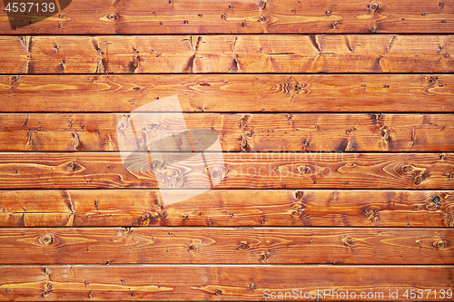 Image of real spruce wainscot texture