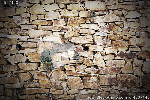 Image of stone wall with vegetation