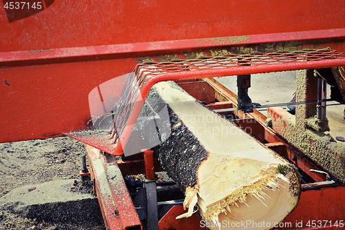 Image of felled tree at saw mill