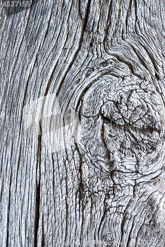 Image of texture of knotty oak wooden surface